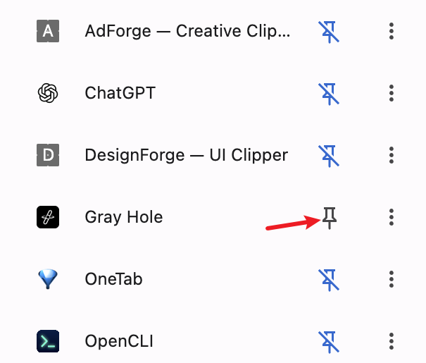 Chrome 扩展菜单中固定 Gray Hole